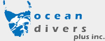 Ocean Divers Plus SCUBA Club